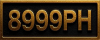logo 8999PH